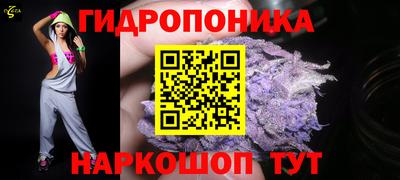 крисы Лесосибирск