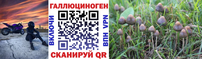 Псилоцибиновые грибы MAGIC MUSHROOMS  Ейск 