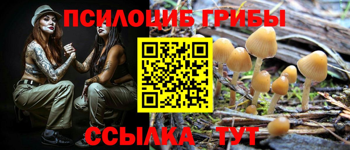 Ейск  продажа наркотиков  Вход с VPN  Псилоцибиновые грибы Cubensis 