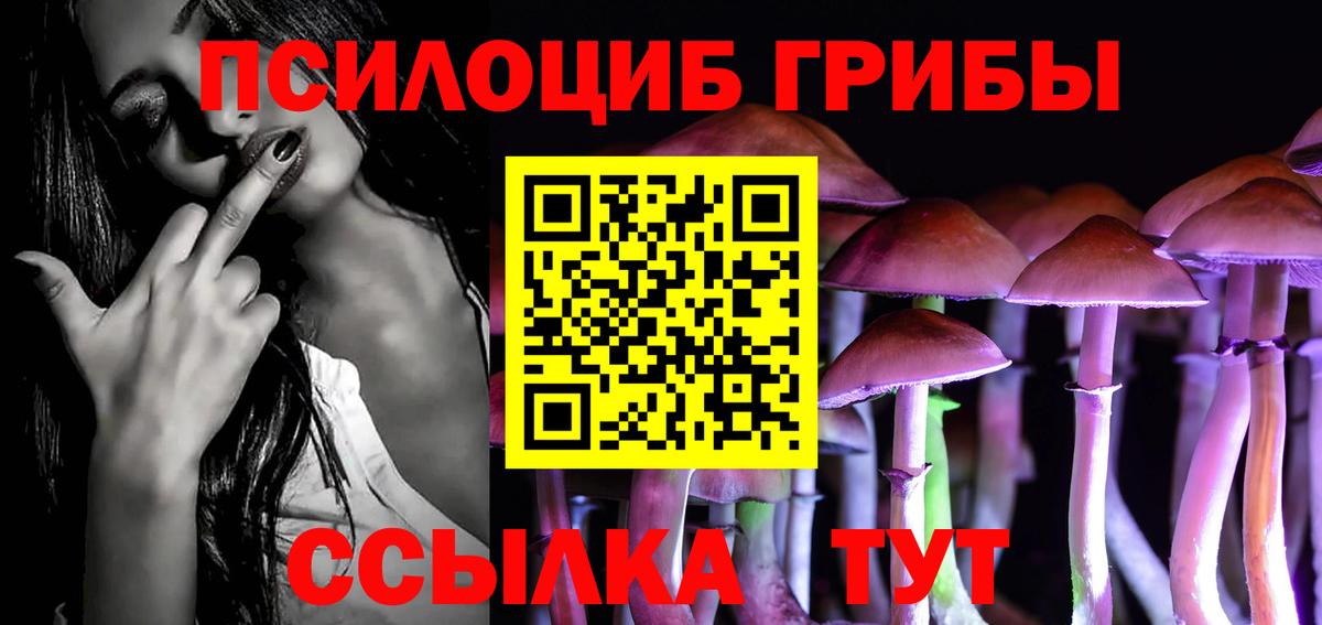 Псилоцибиновые грибы Cubensis Ейск